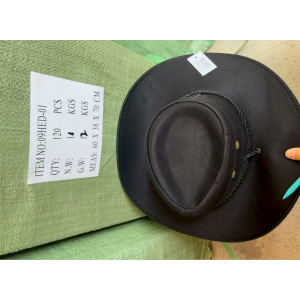 09HED-01*CX120 CHAPÉU COM ABA E COPA